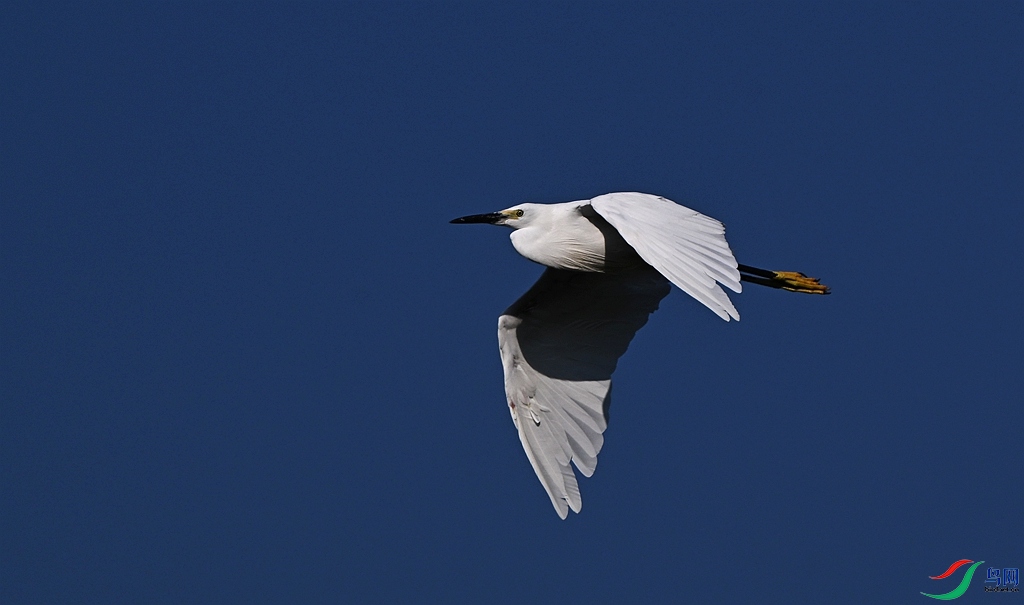 DSC_5584.JPG