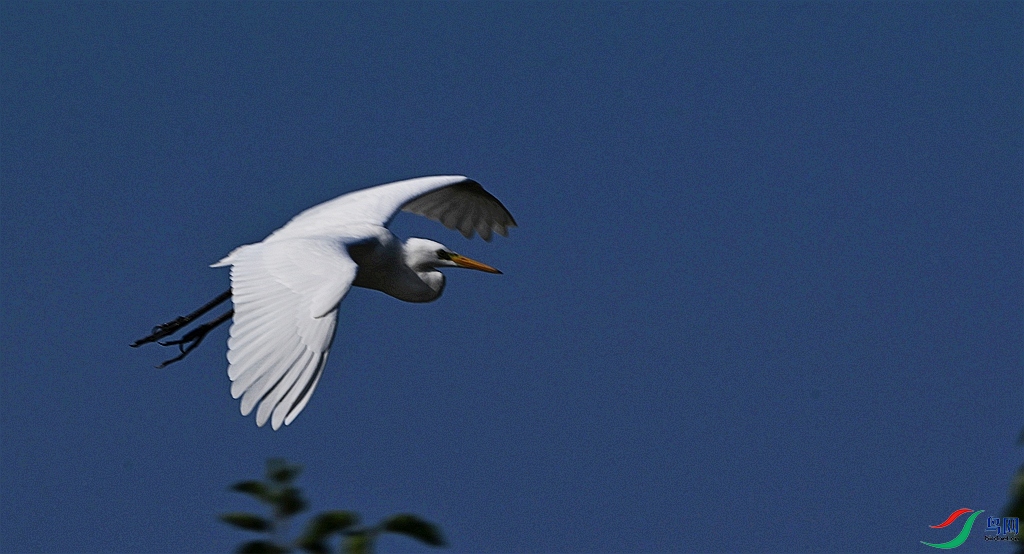 DSC_6342.JPG