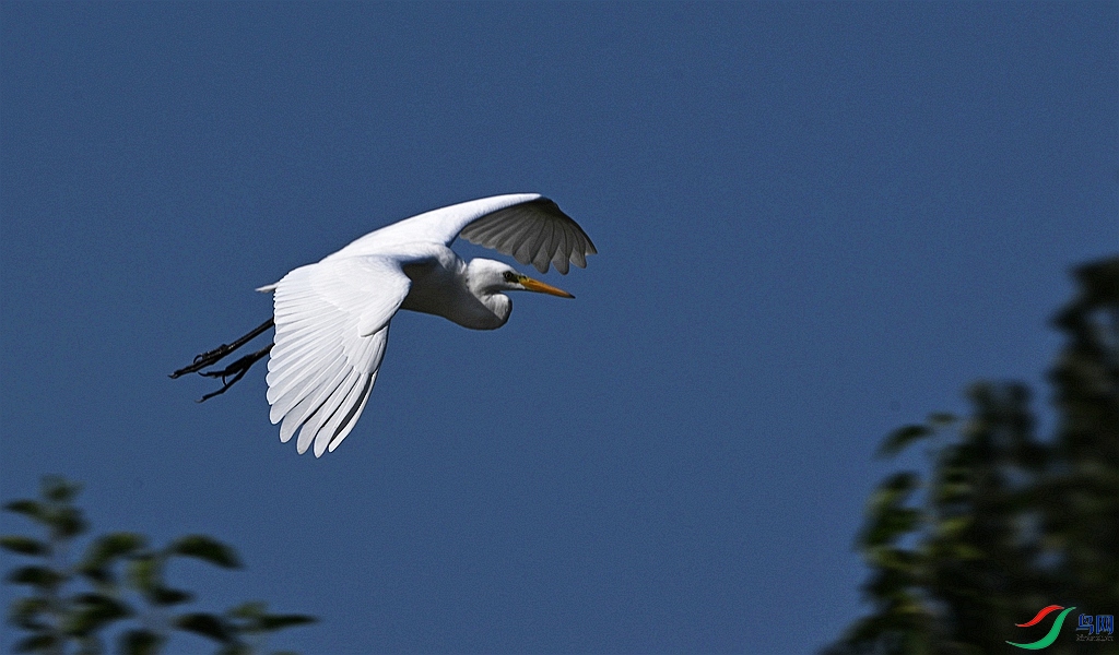 DSC_6343.JPG