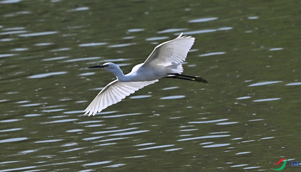 DSC_6691.JPG