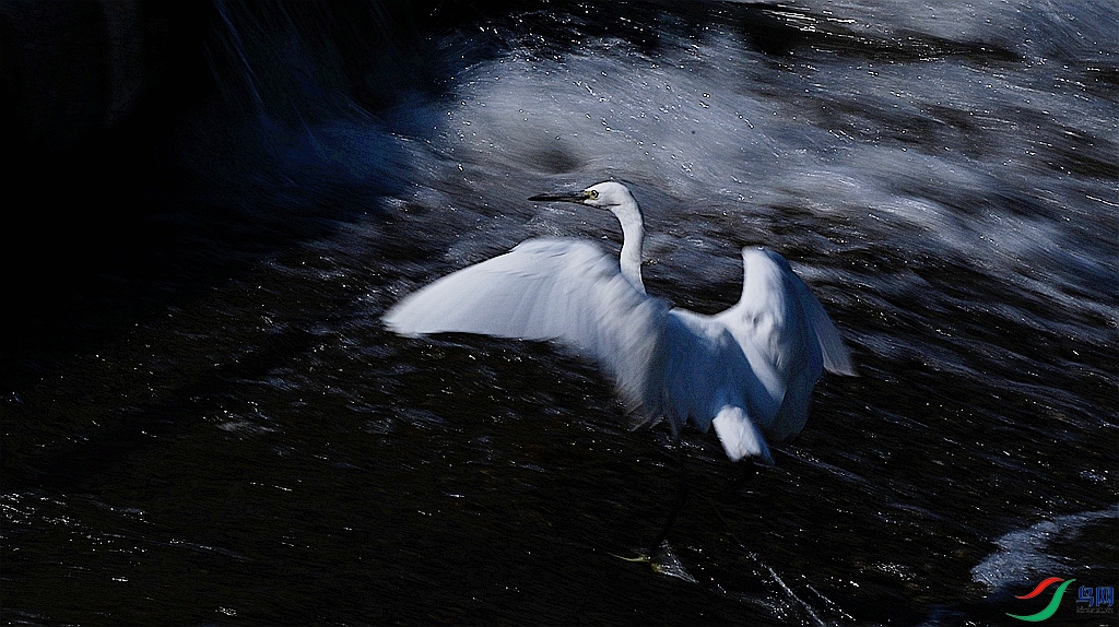 DSC_7751.JPG
