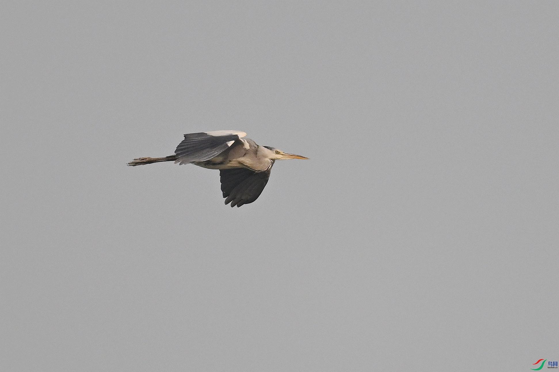 DSC_6271.JPG