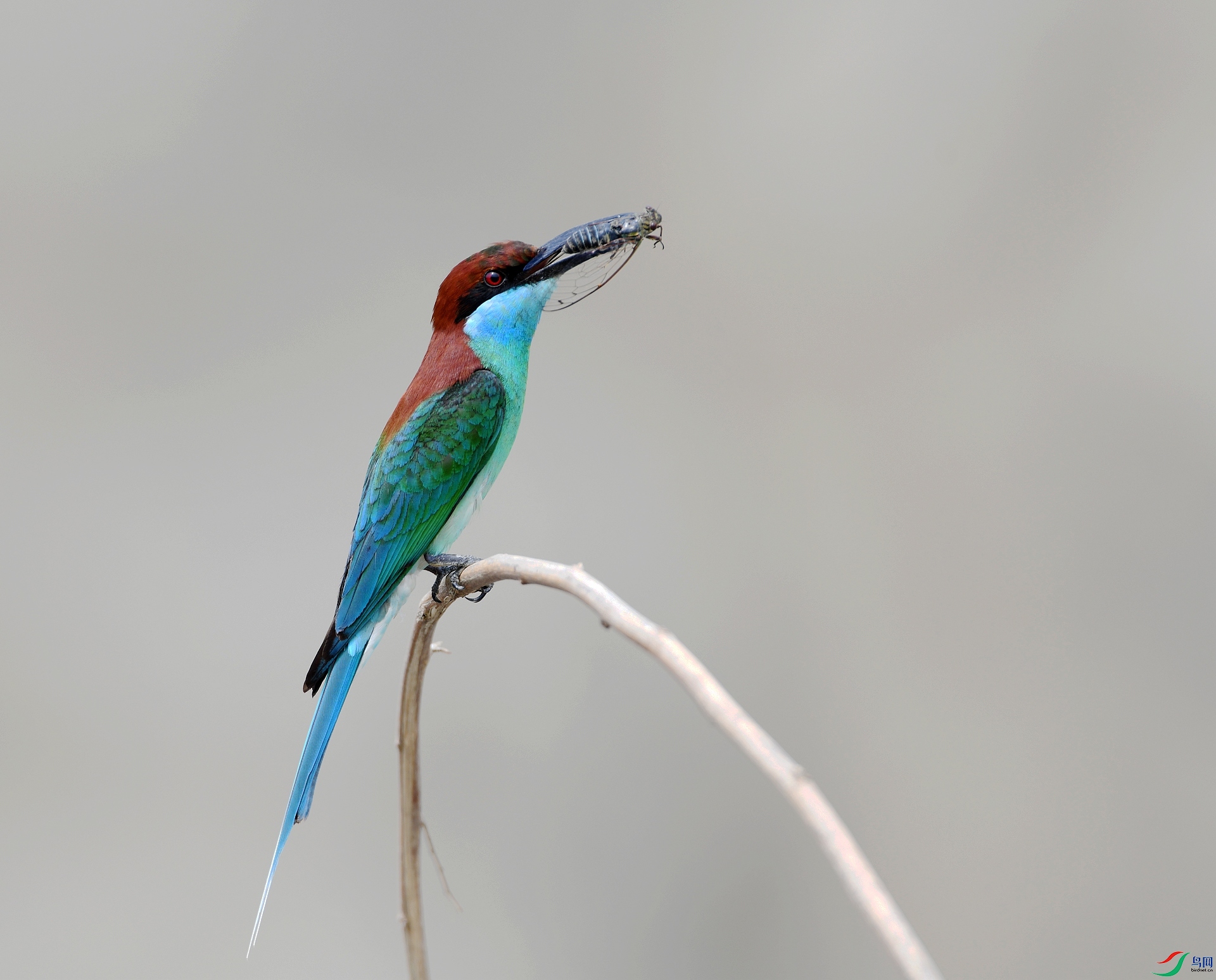 DSC_9209.jpg