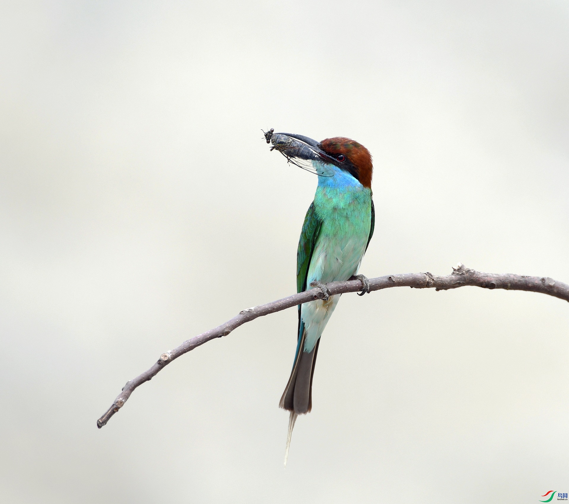 DSC_5586.jpg