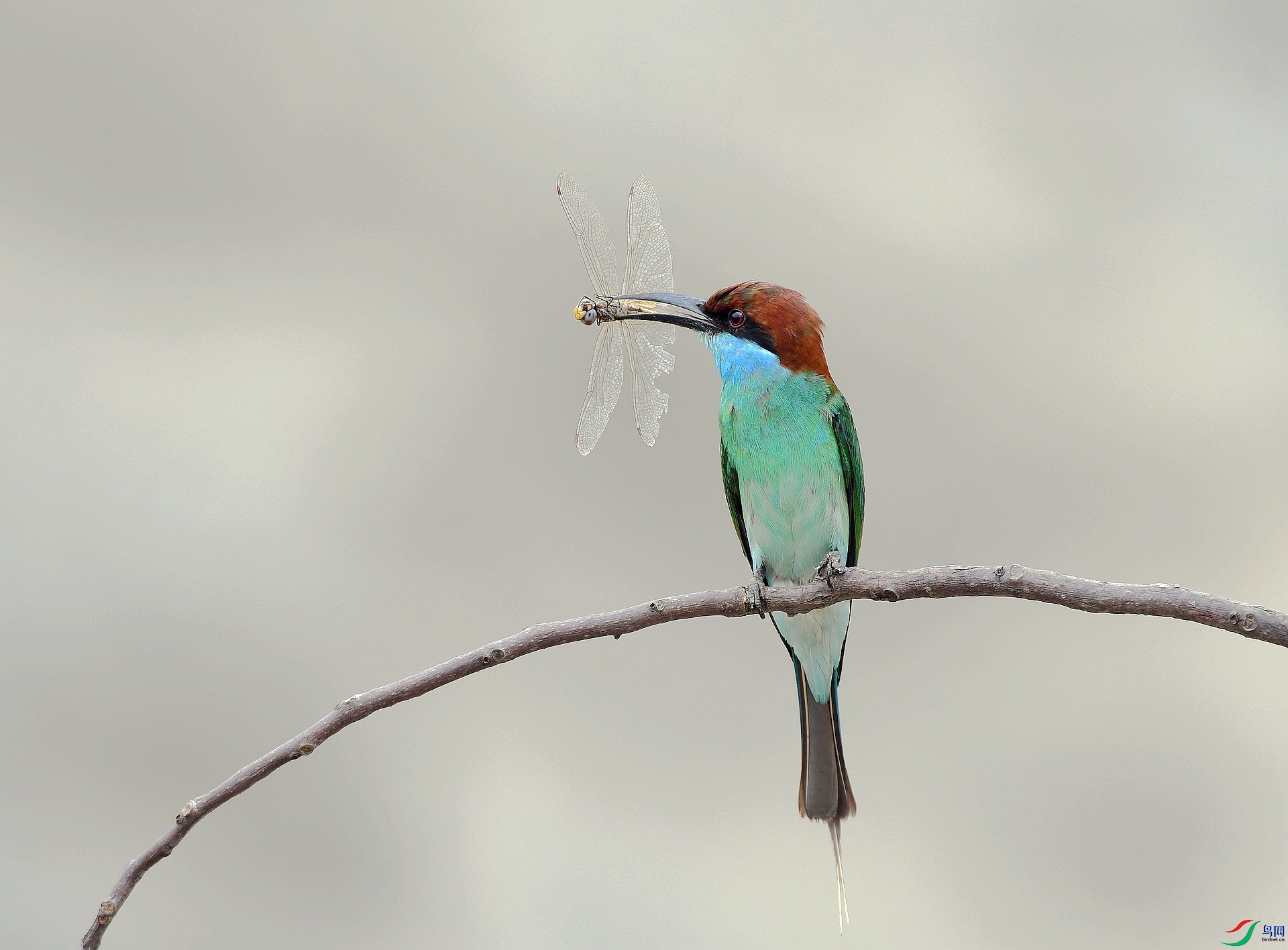 DSC_5368.jpg