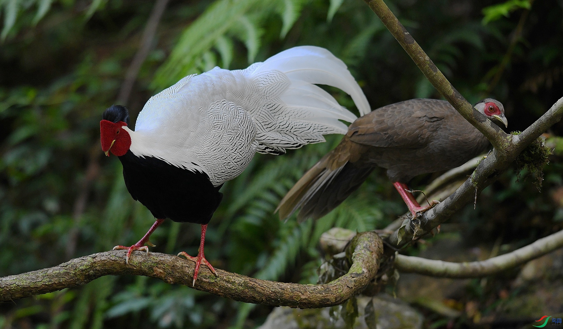 DSC_9247.jpg