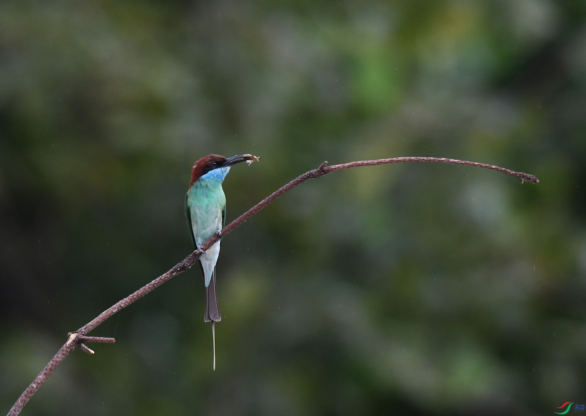 DSC_8733.jpg