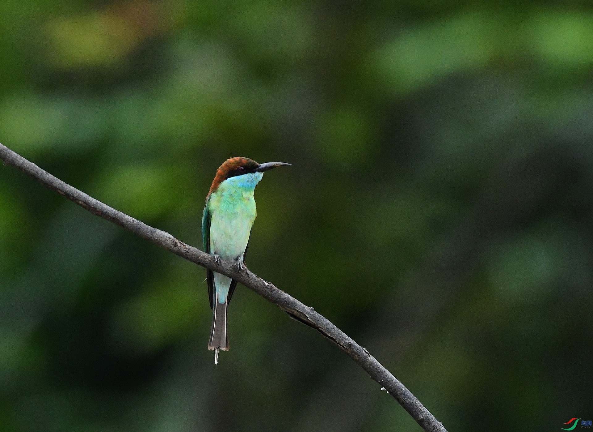 DSC_5725.jpg
