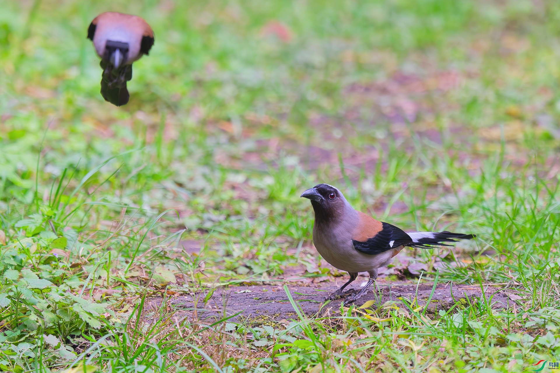 DSC_8891_DxO_DxO.jpga.jpg