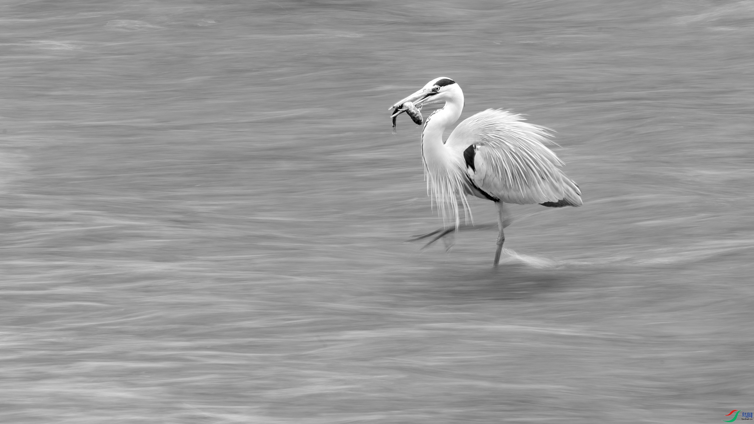 DSC_1047_DxO.jpg