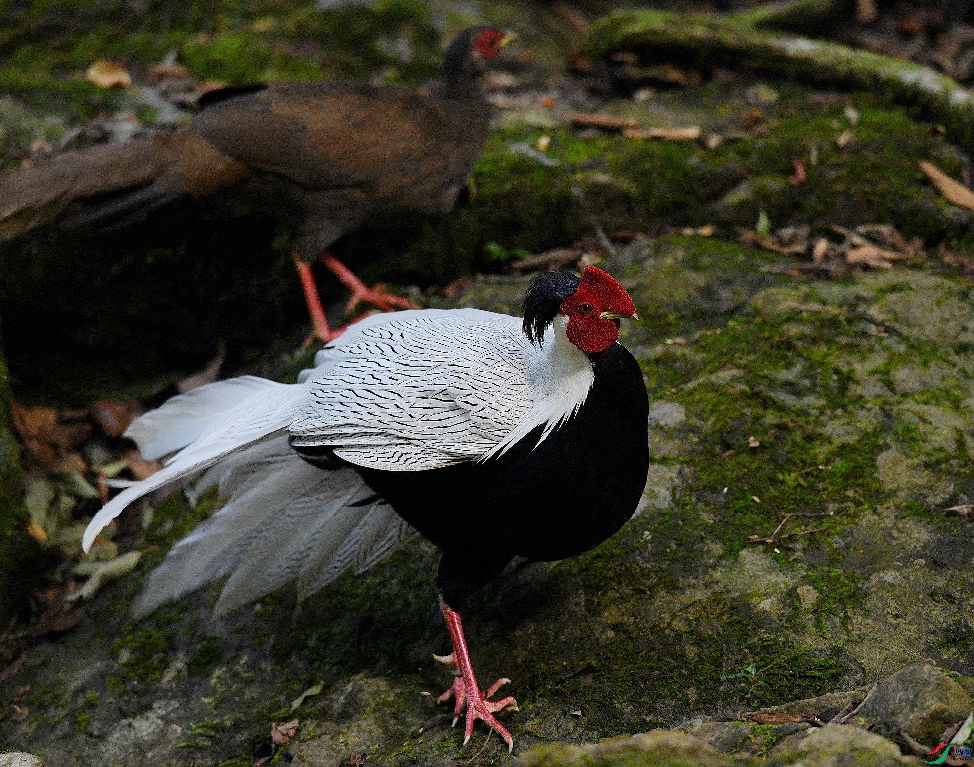 DSC_9311.jpg