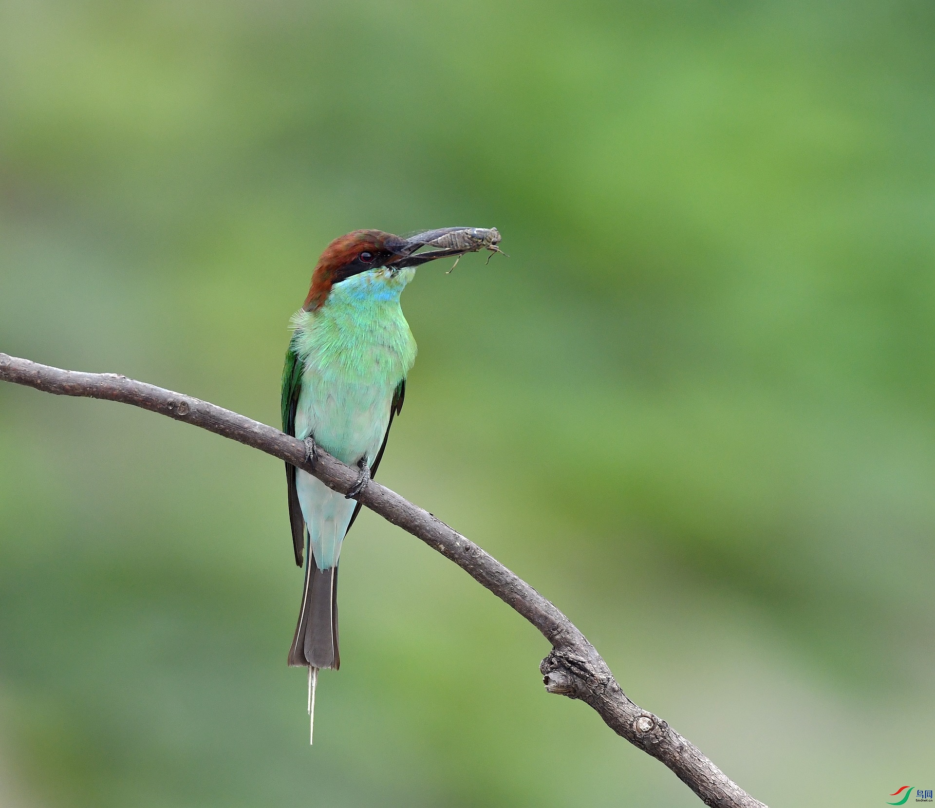 DSC_5740.jpg