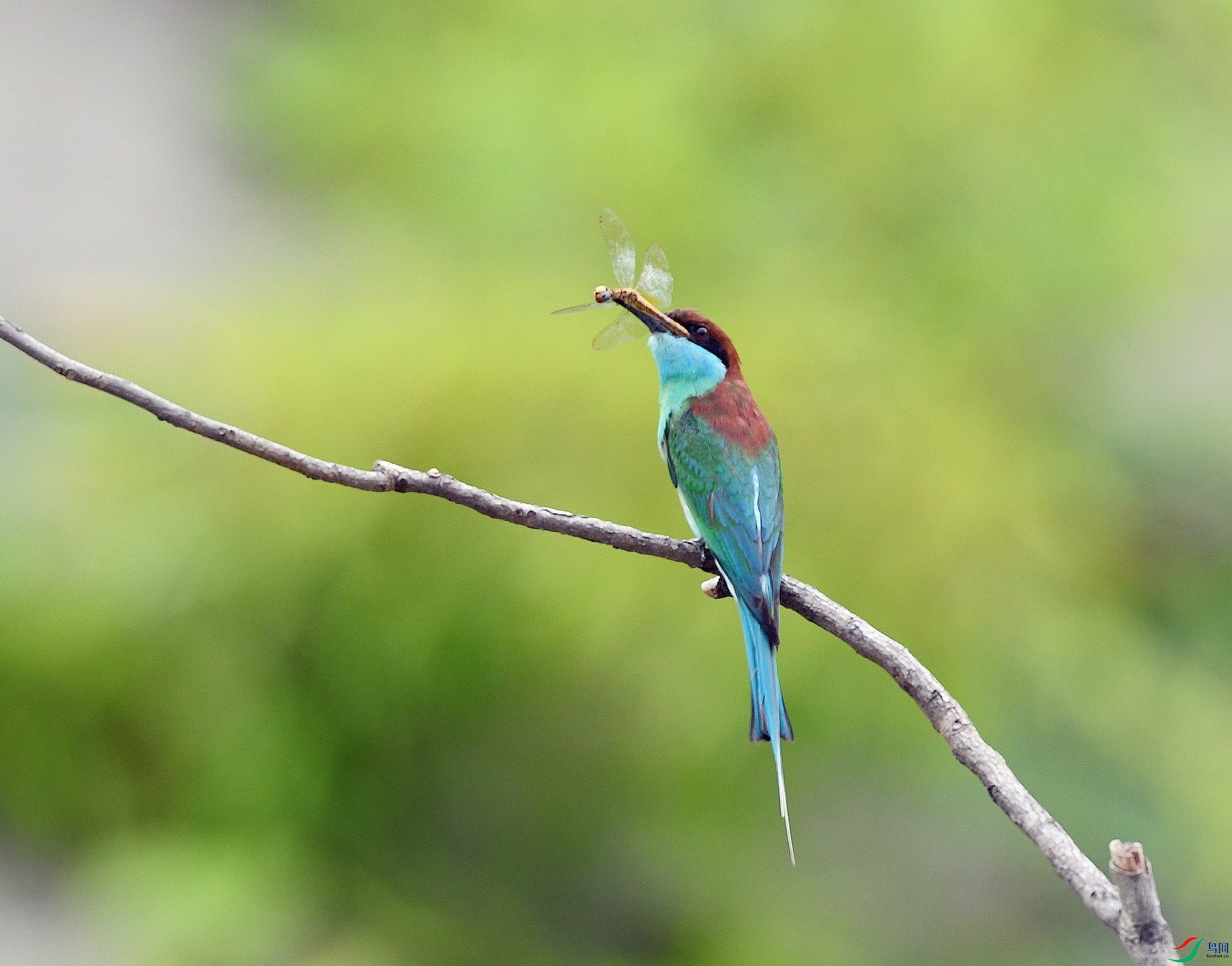 DSC_5116.jpg