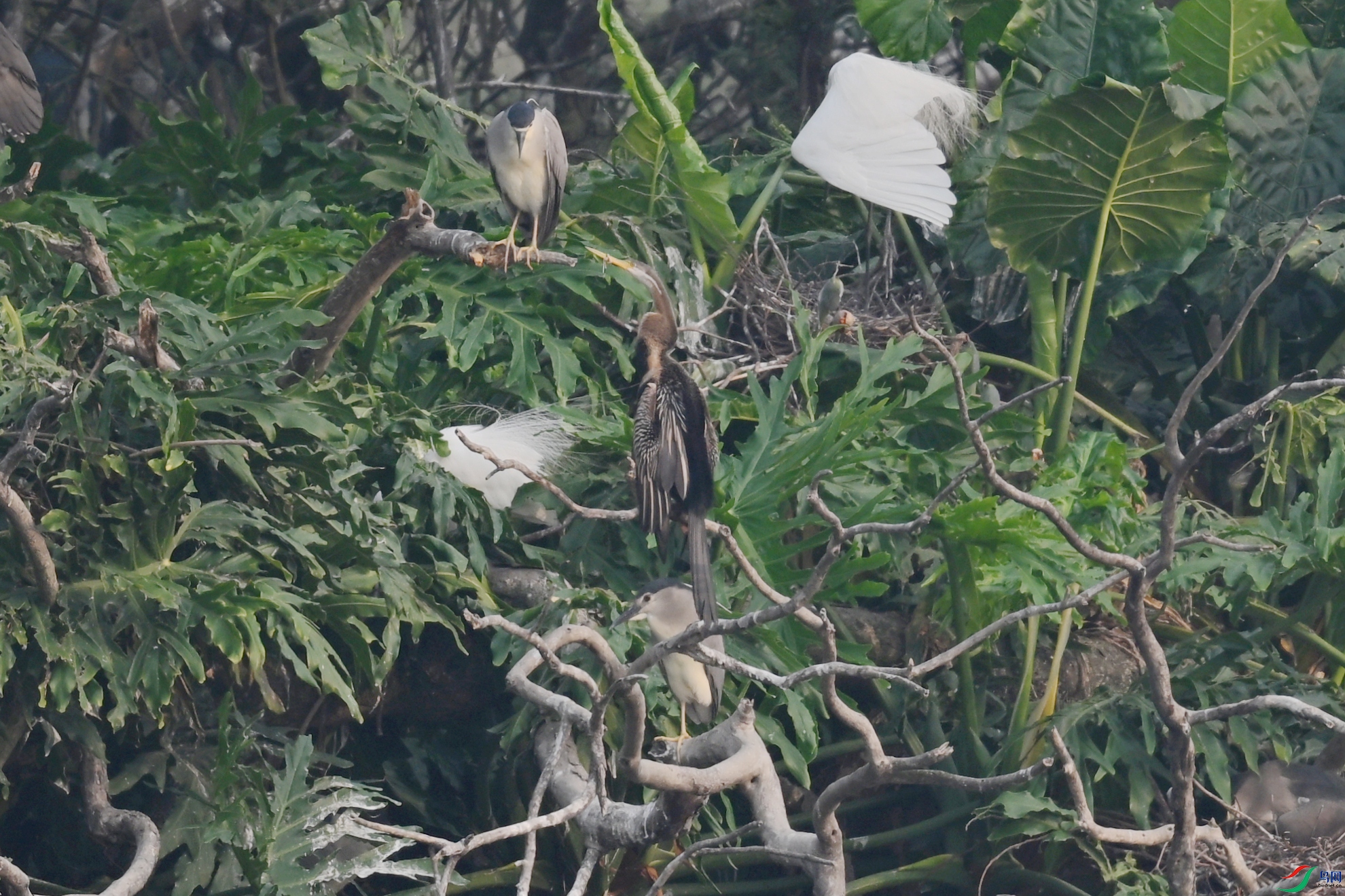 DSC_6244.JPG