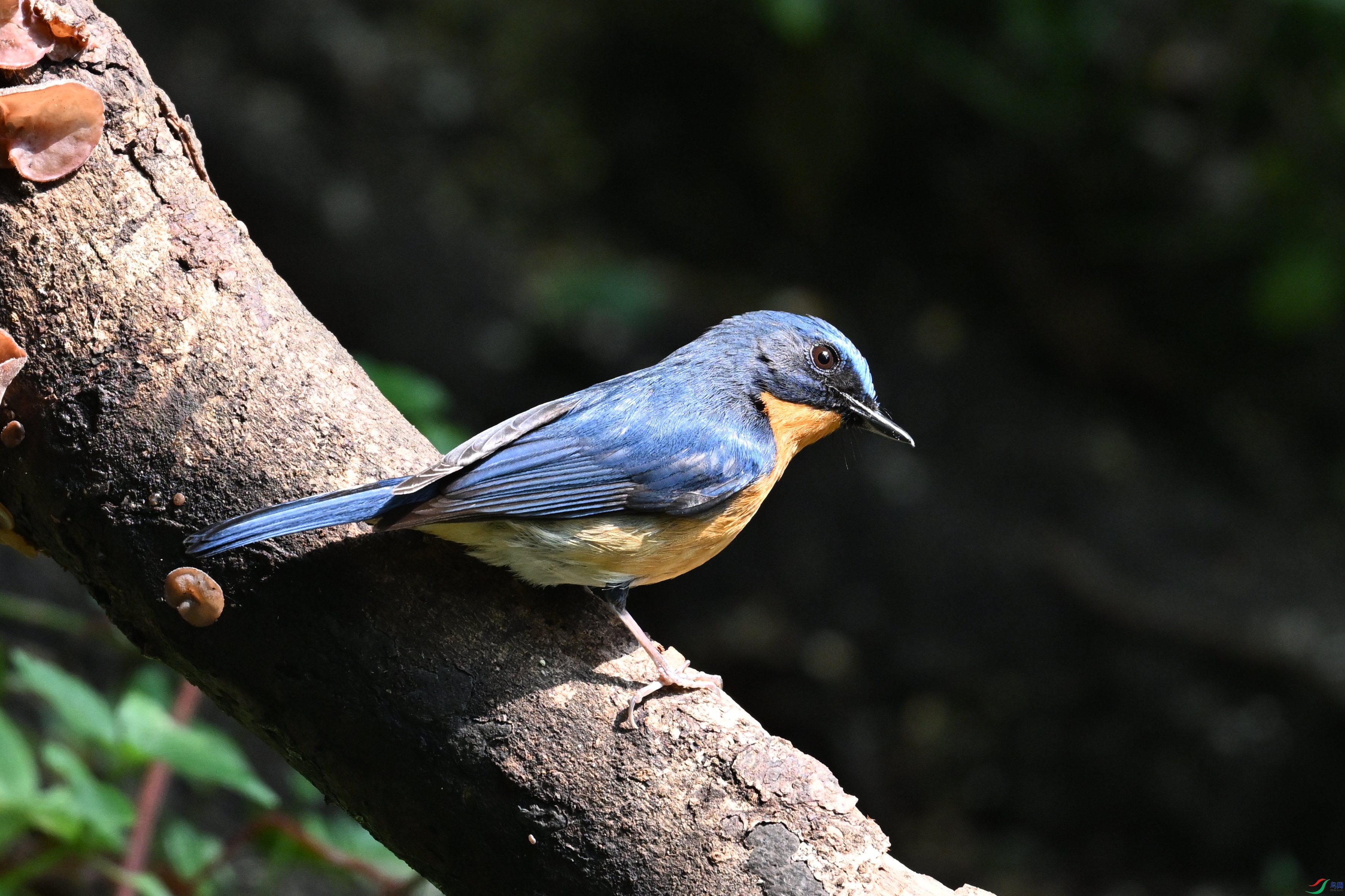 DSC_6318.JPG