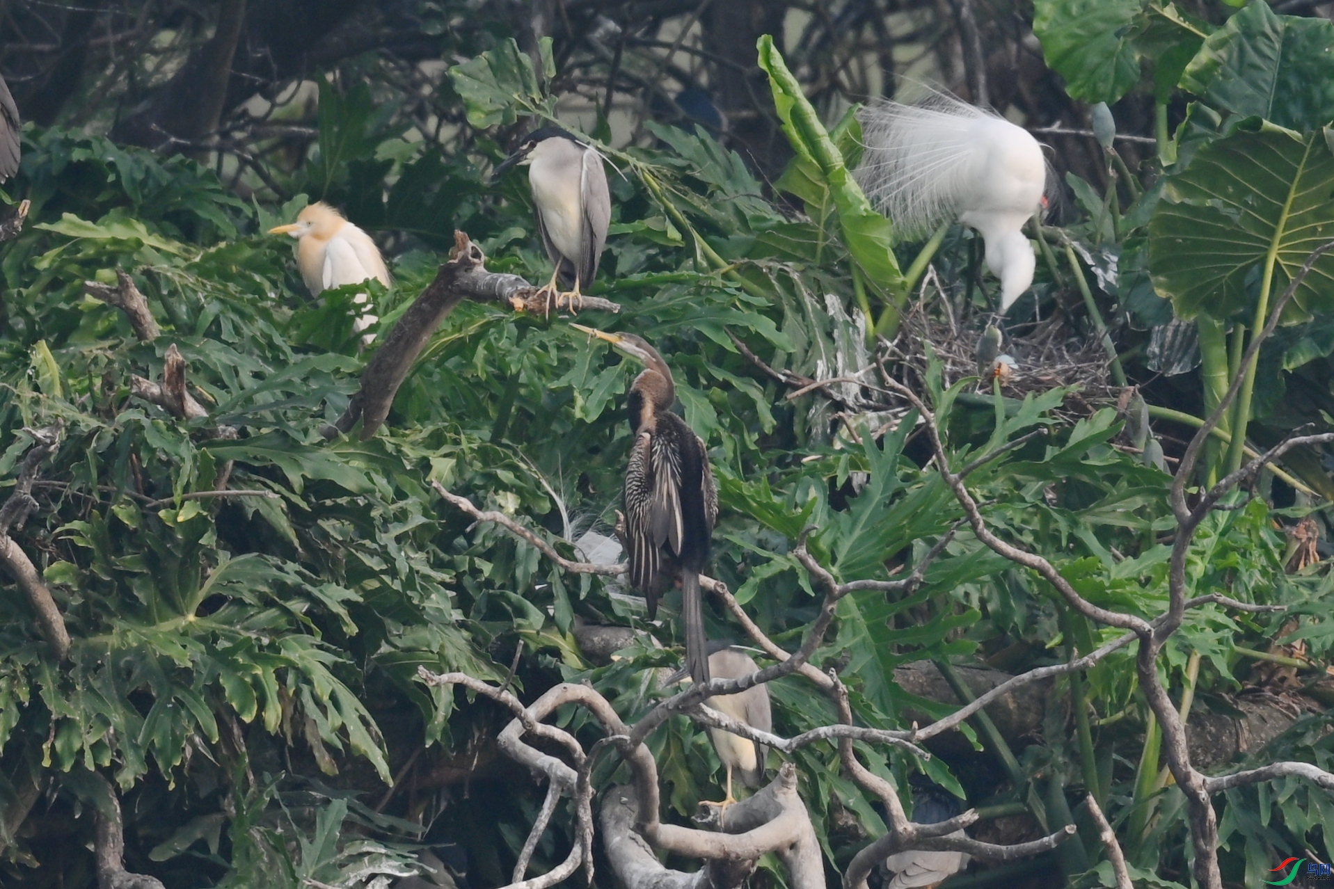 DSC_6255.JPG