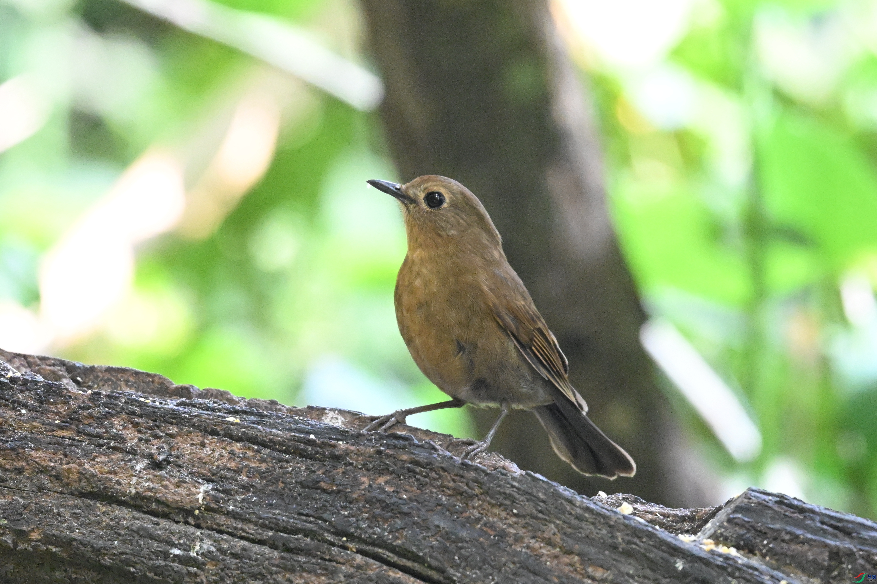 DSC_6320.JPG