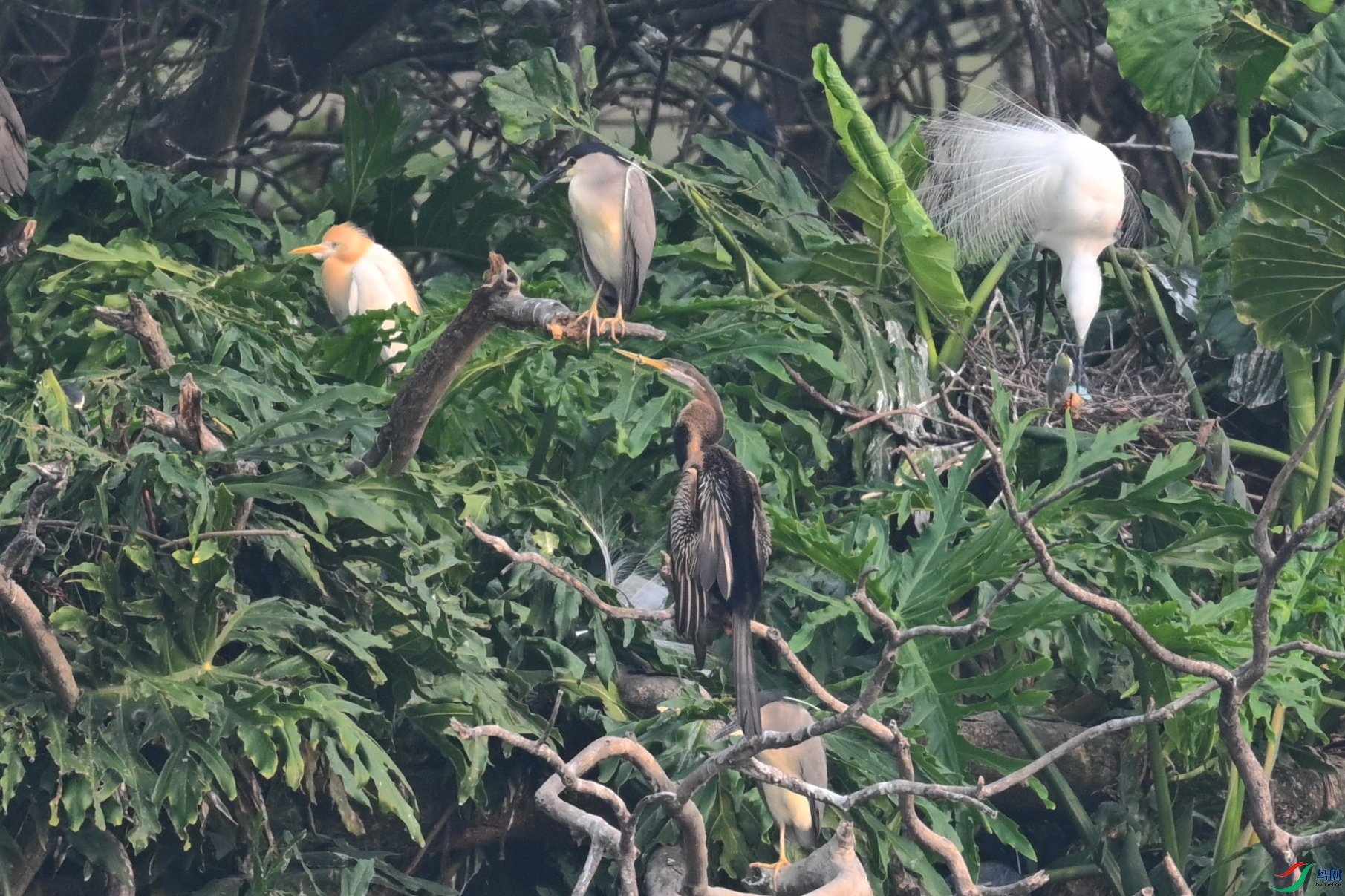 DSC_6257.JPG