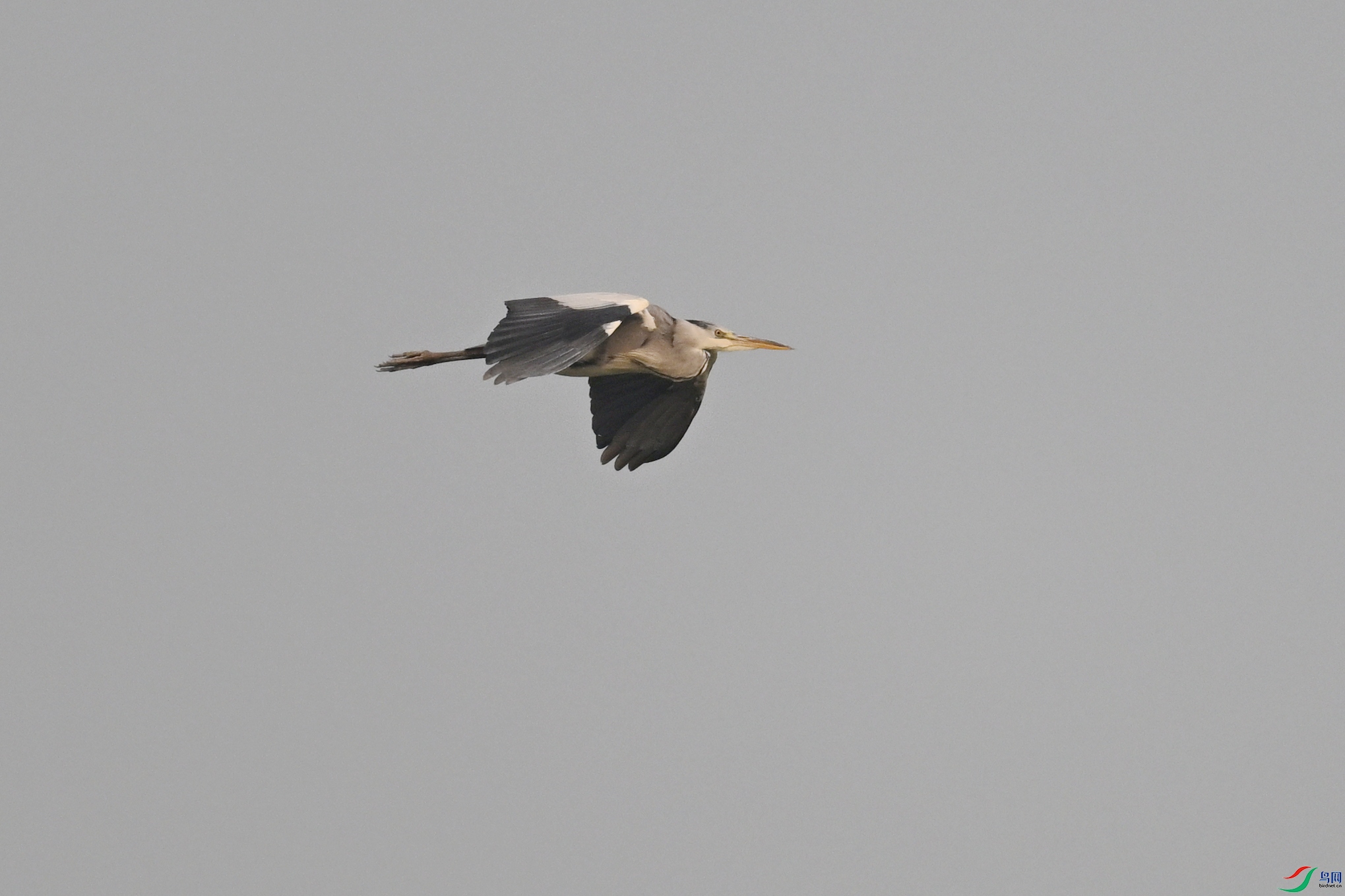 DSC_6273.JPG