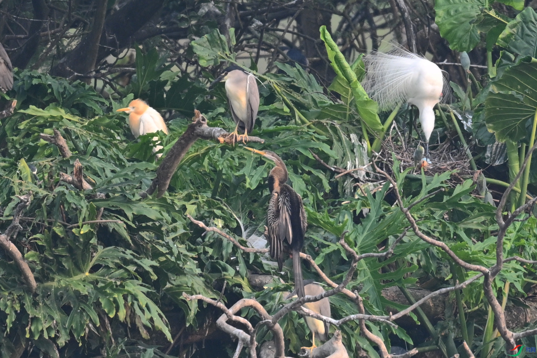 DSC_6259.JPG