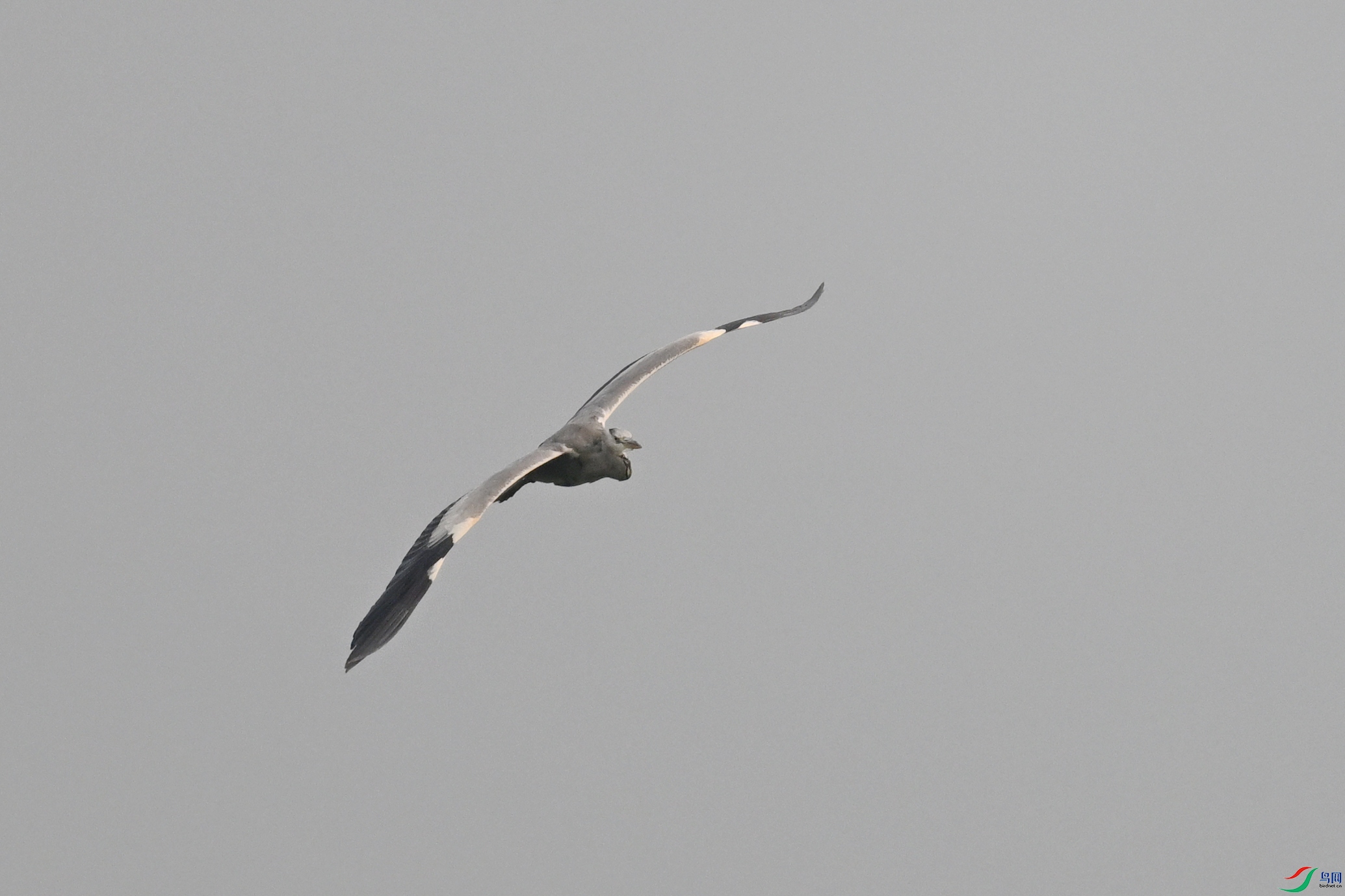 DSC_6275.JPG