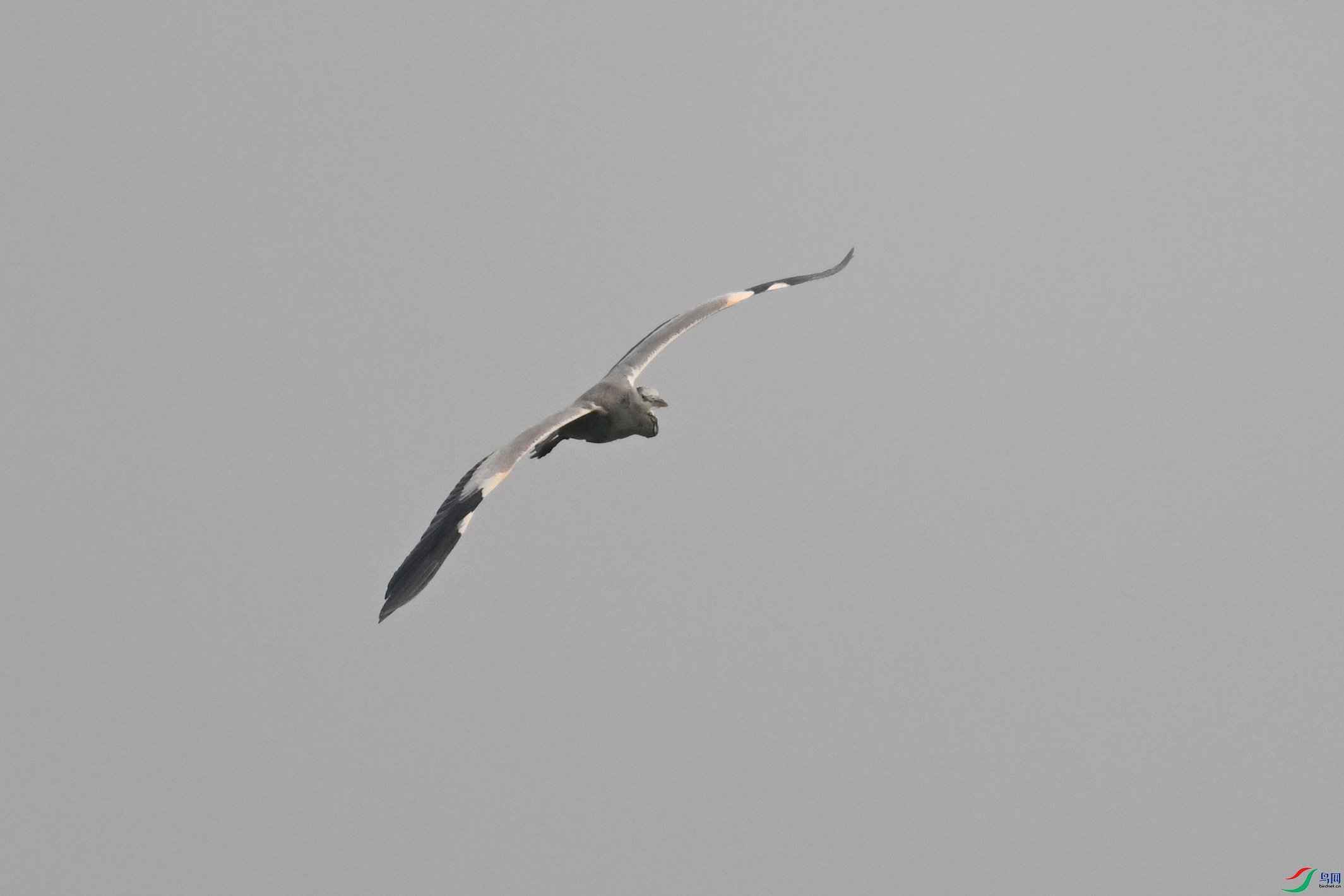 DSC_6276.JPG