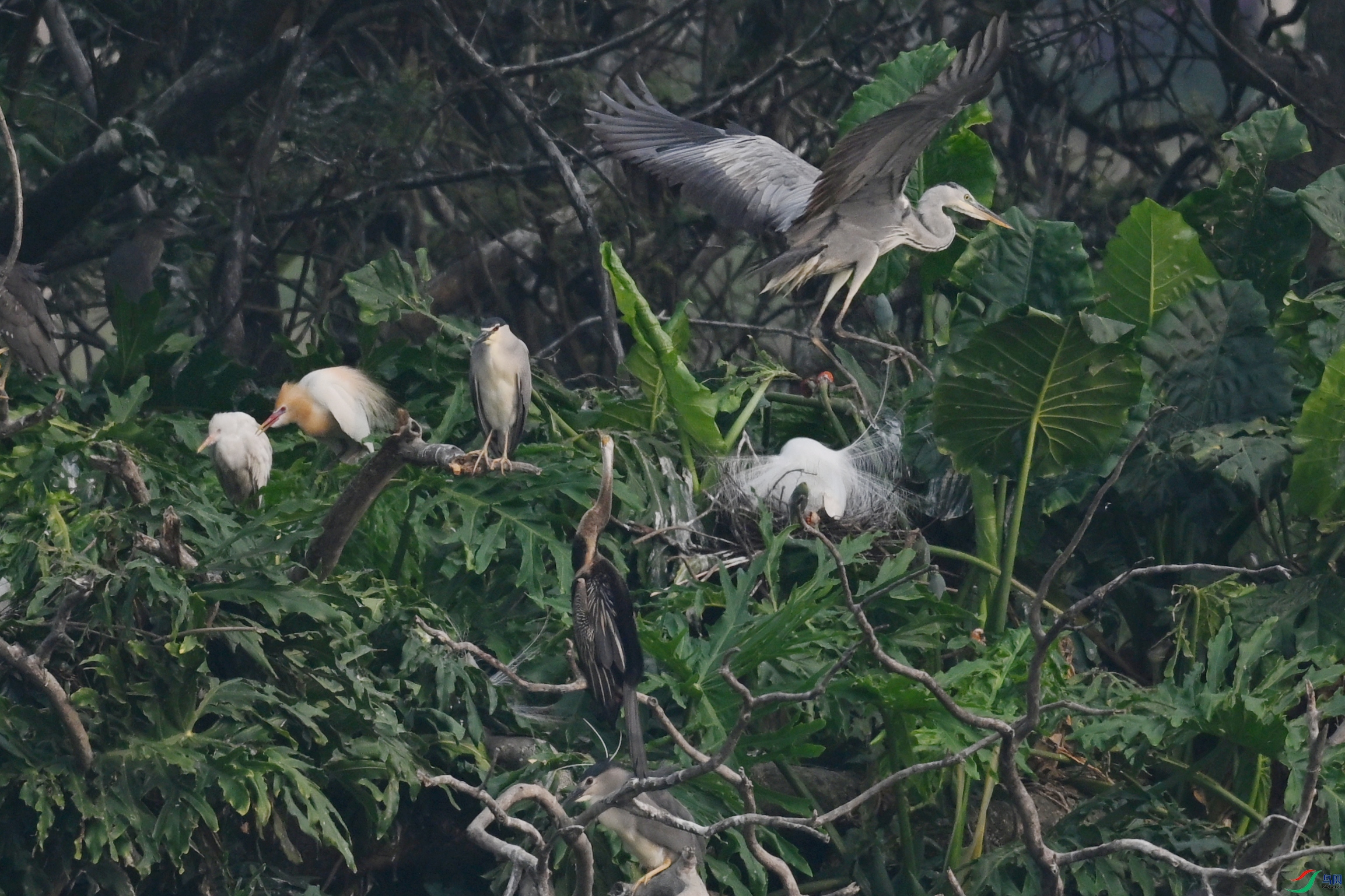 DSC_6278.JPG