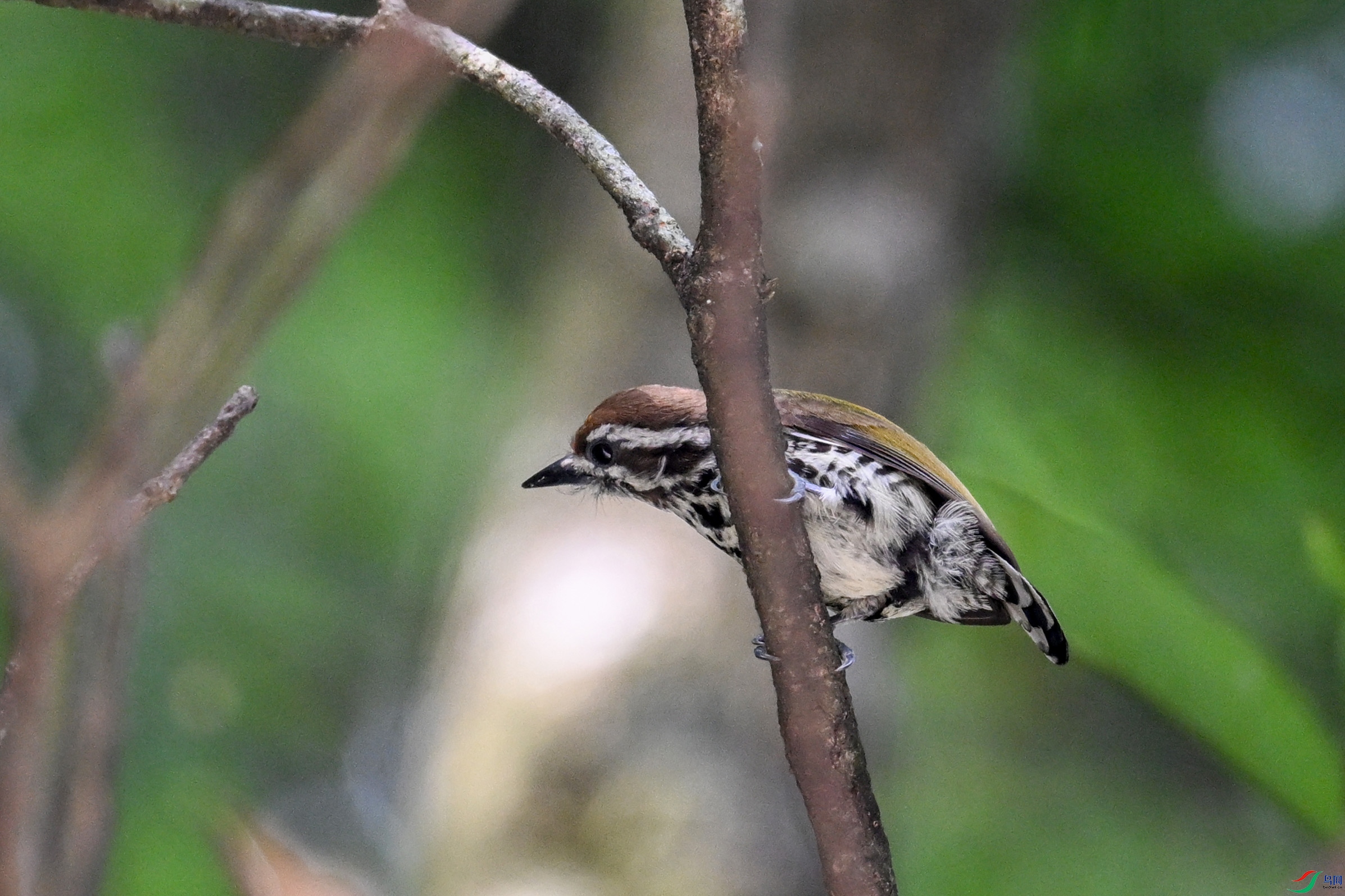 DSC_0986.JPG