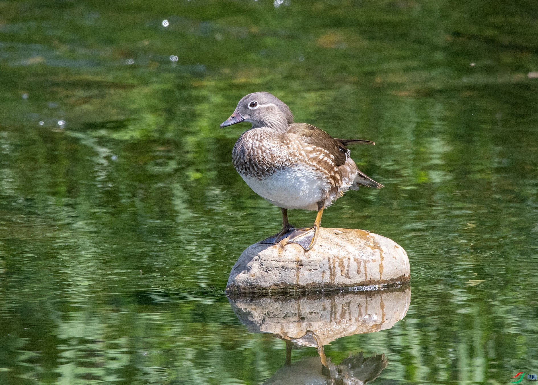DSC_4601_��ͼ��_��ͼ�� ����.jpg