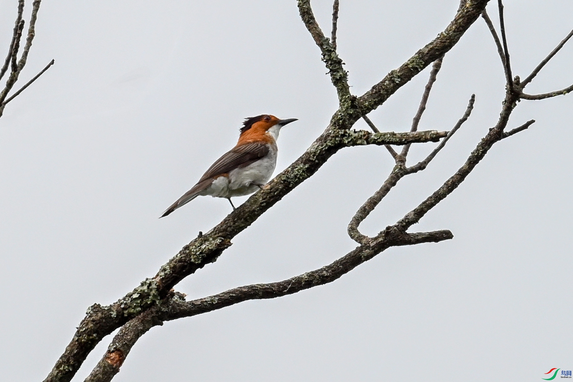 DSC_9595.JPG