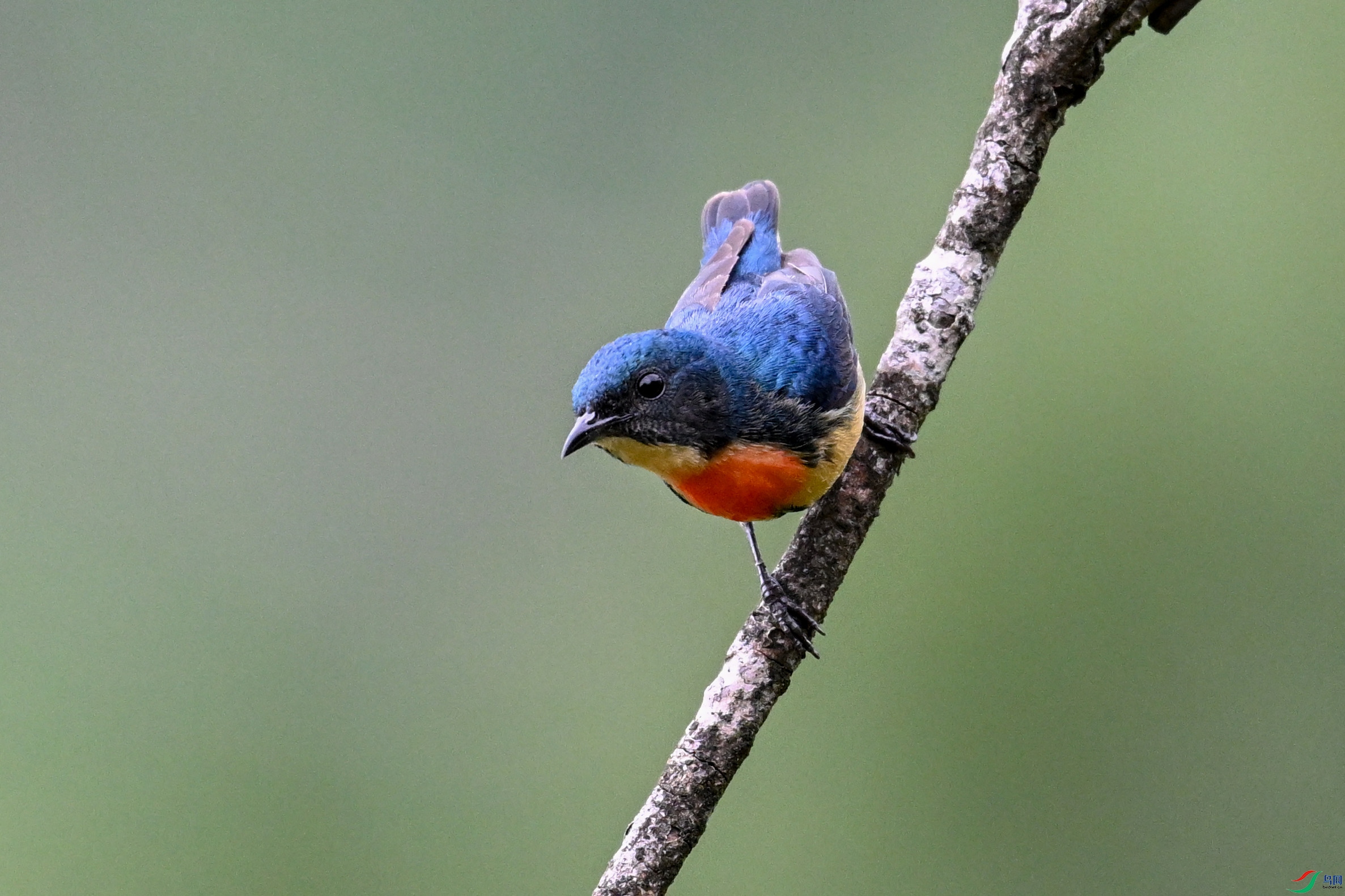 DSC_9635.JPG