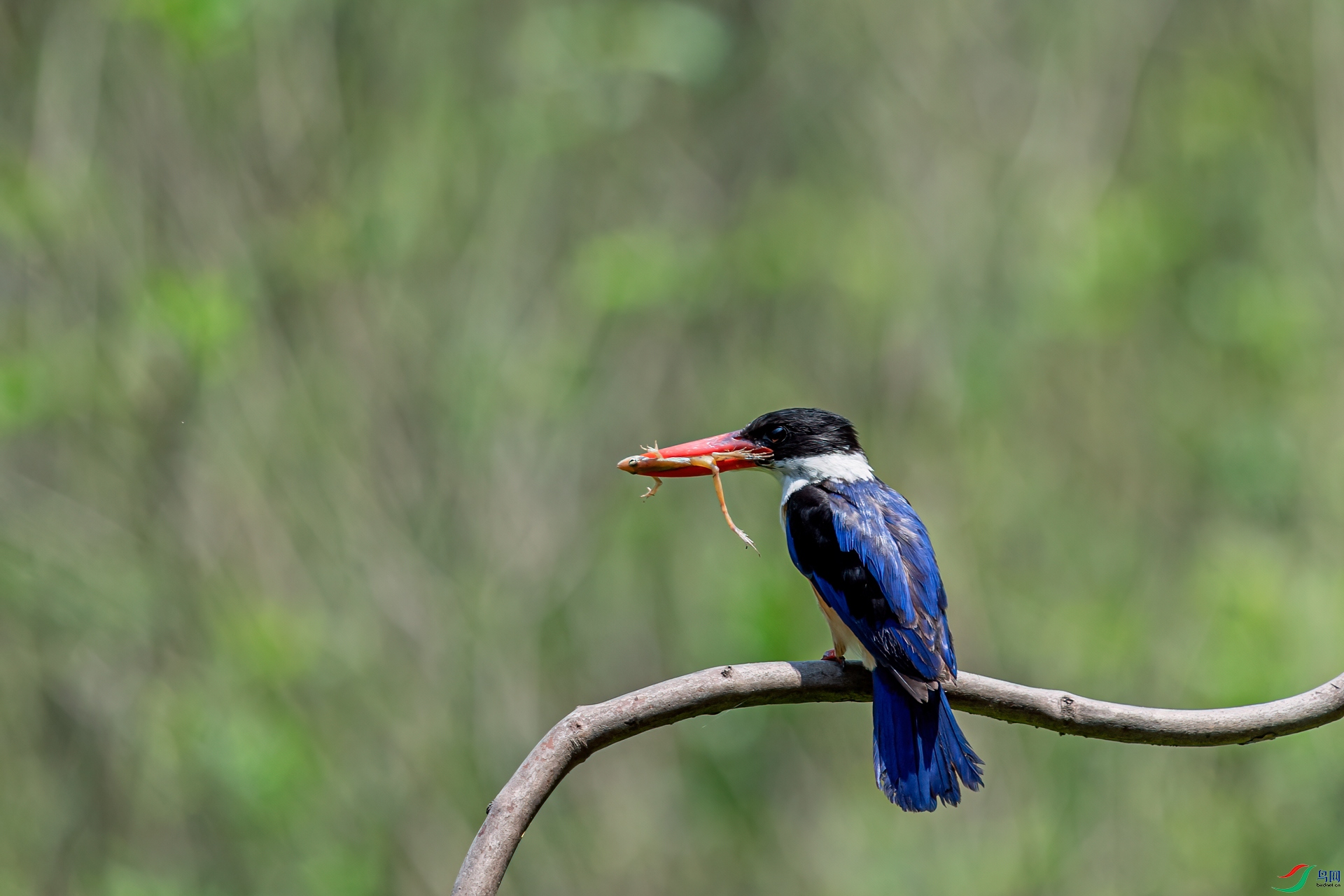 DSC_2346-11.jpg