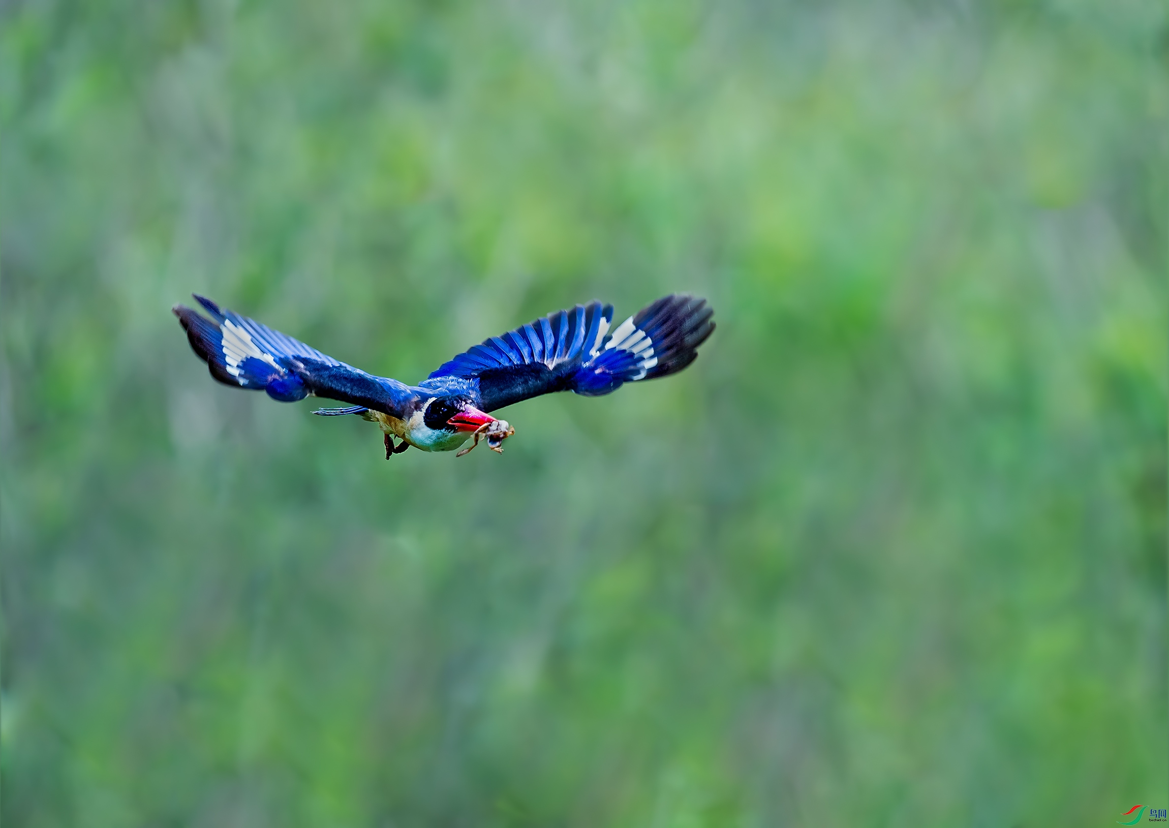 DSC_3018z.jpg