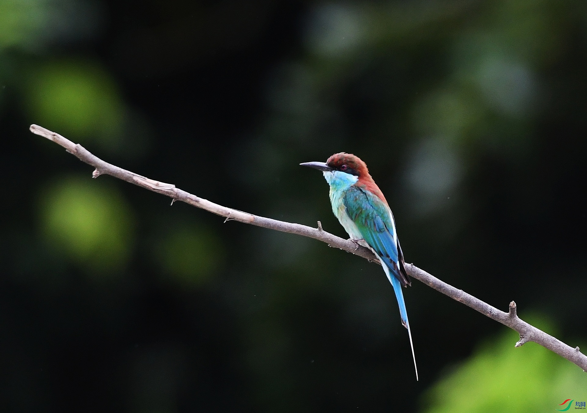 DSC_4856.jpg