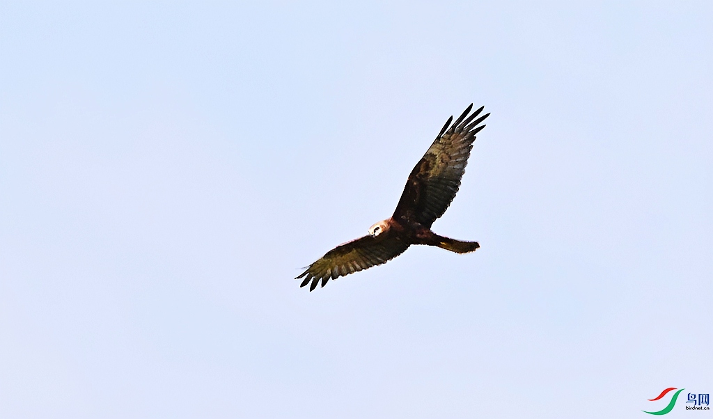 DSC_8527.JPG