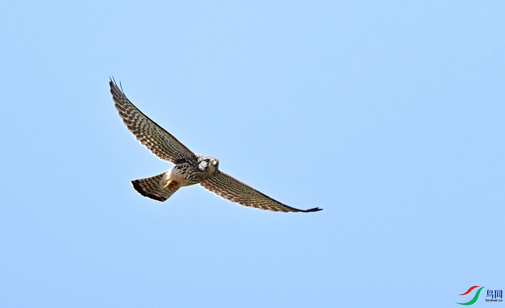 DSC_0019.JPG