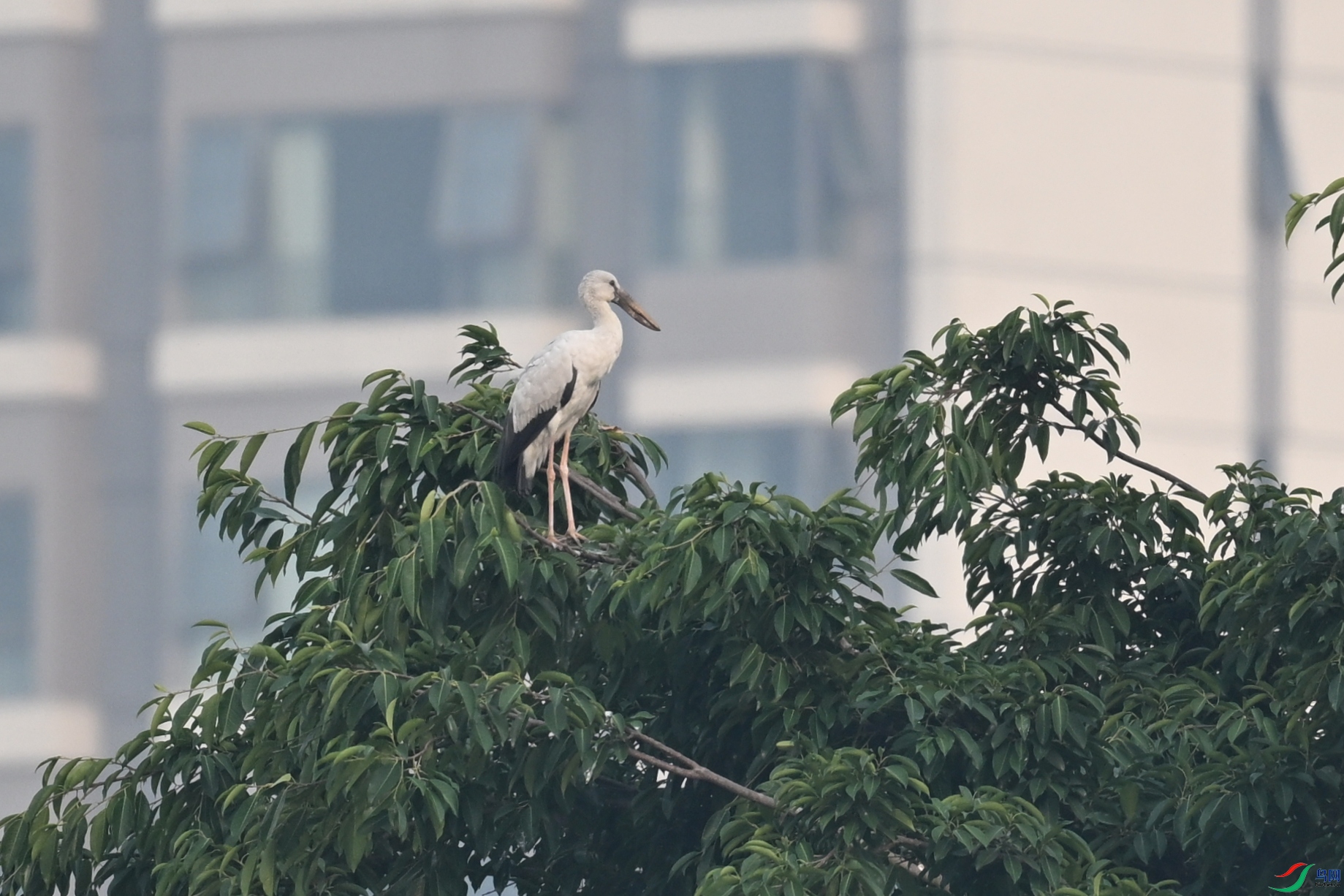 DSC_6264.JPG
