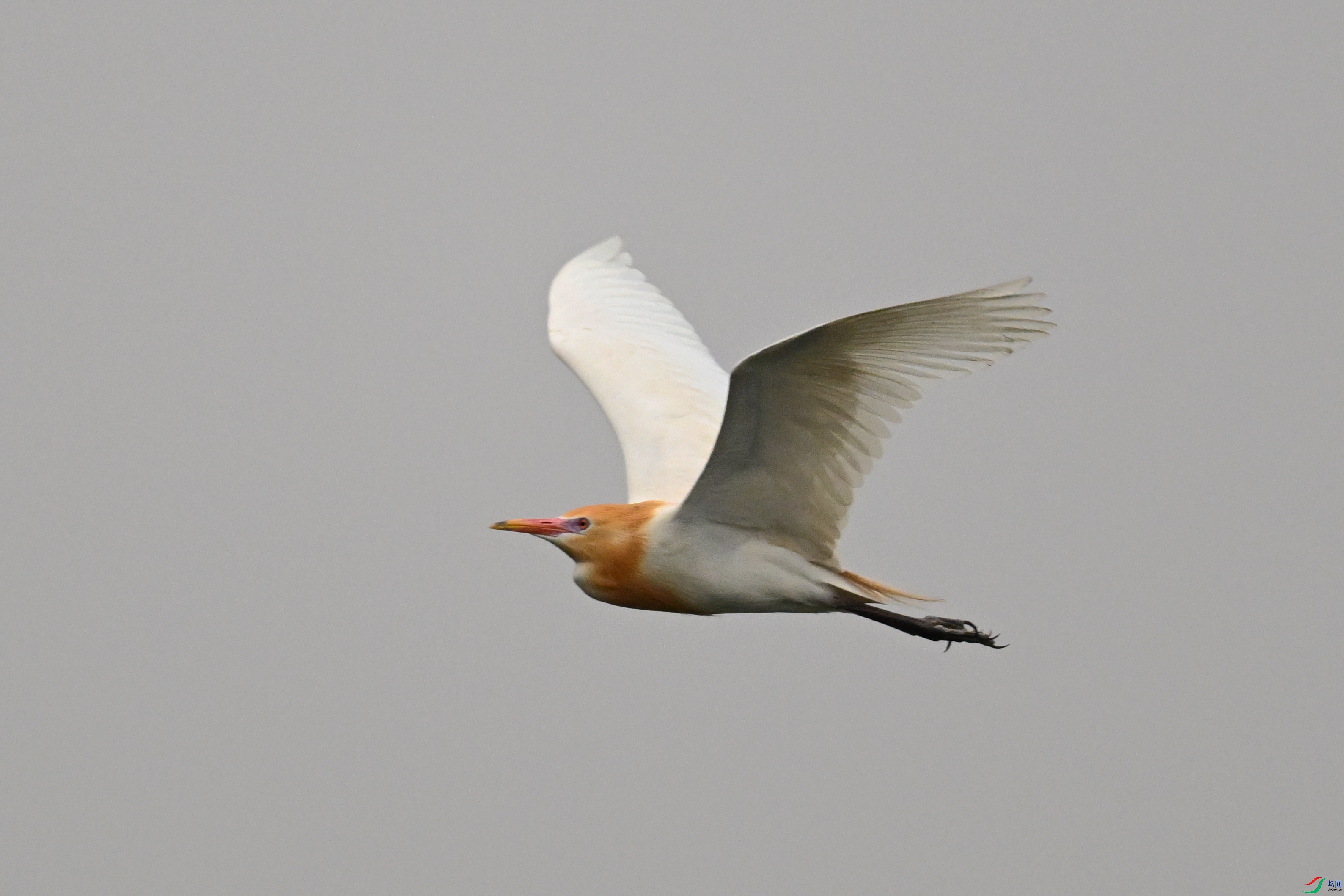 DSC_6298.JPG