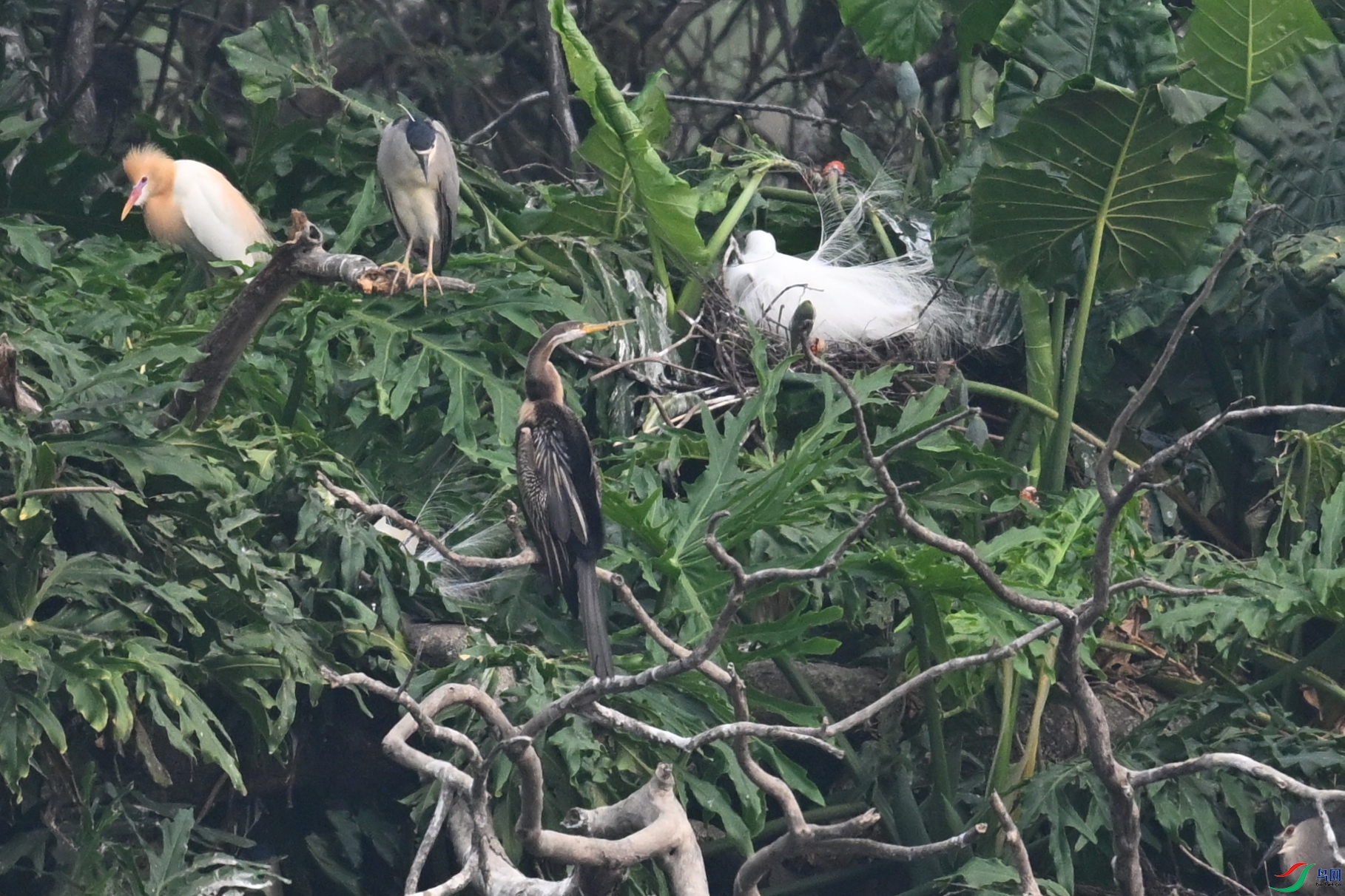 DSC_6284.JPG