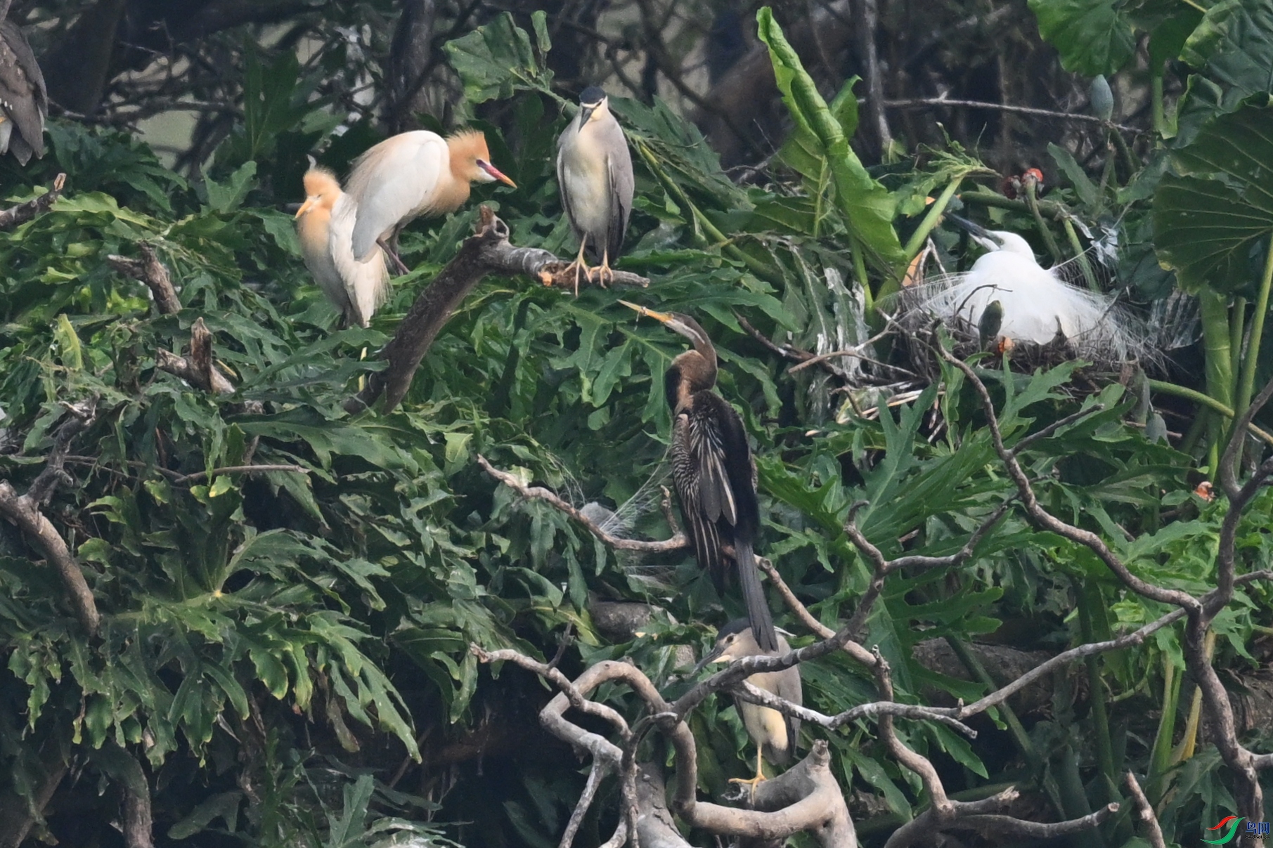 DSC_6266.JPG