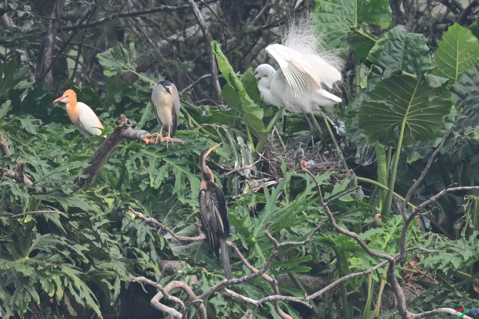 DSC_6287.JPG