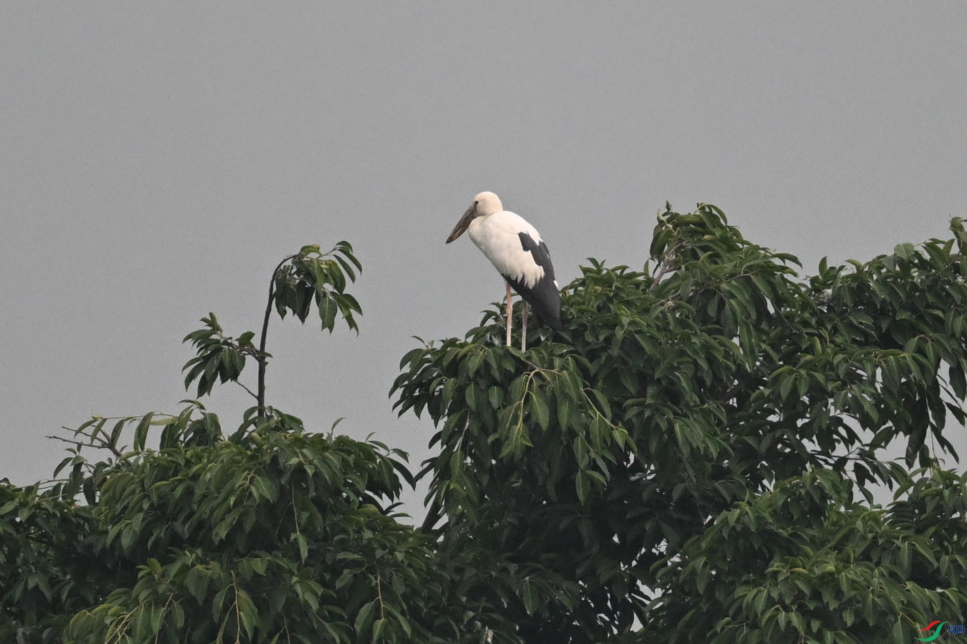 DSC_6289.JPG