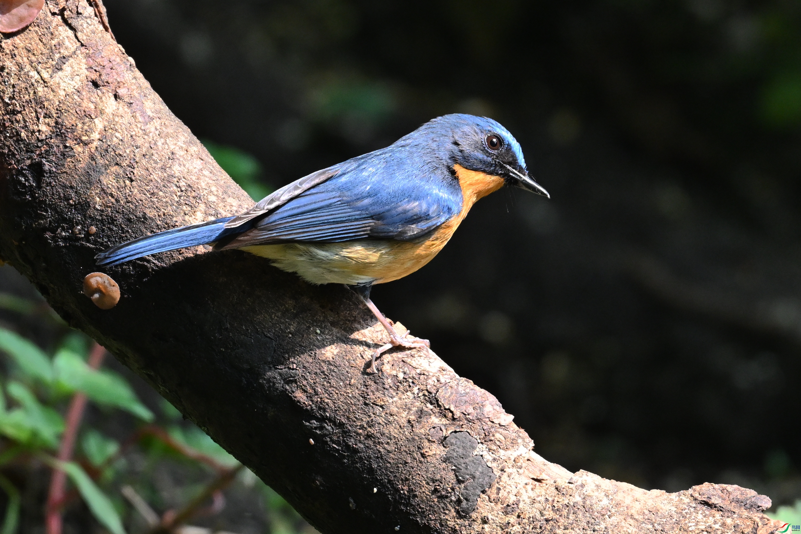 DSC_6319.JPG