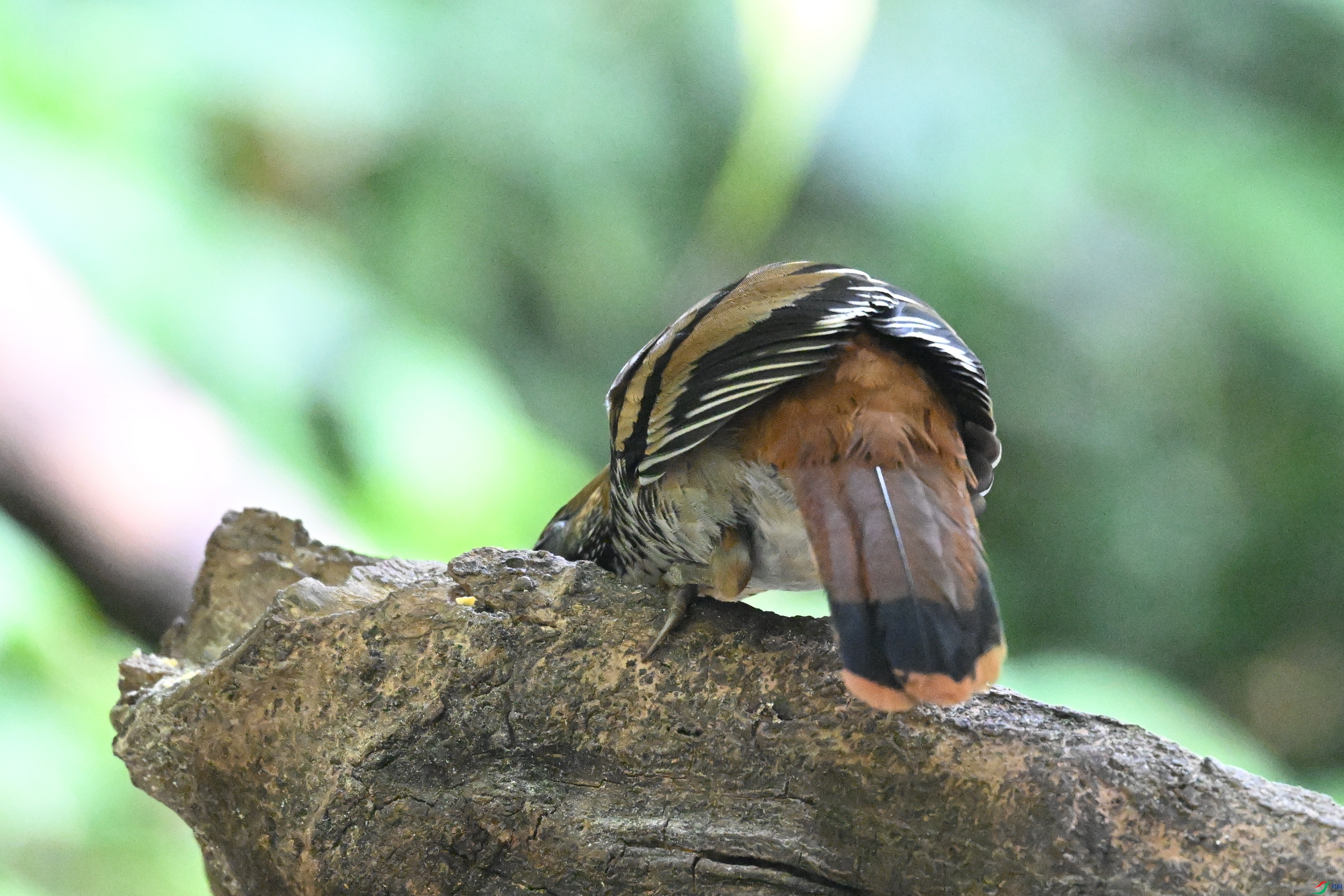 DSC_6304.JPG