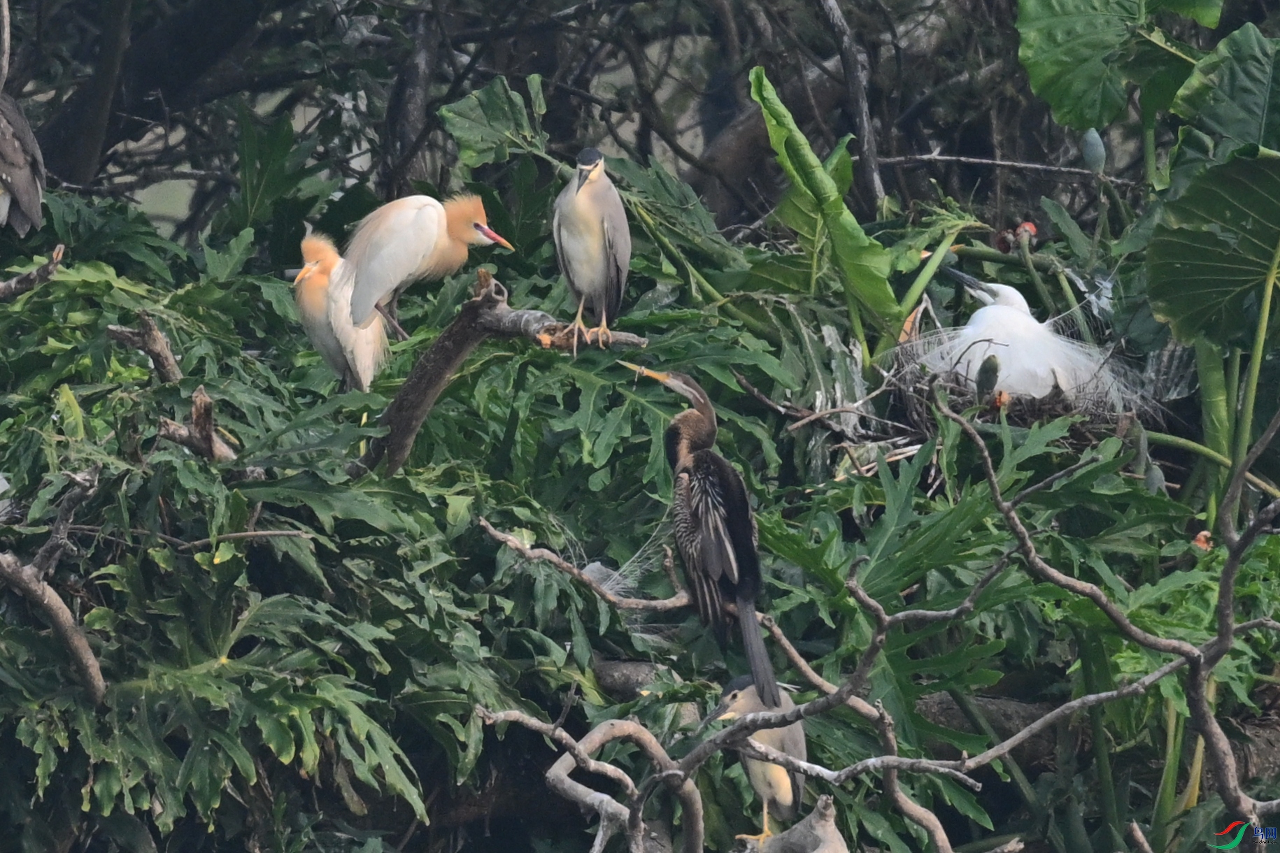 DSC_6267.JPG