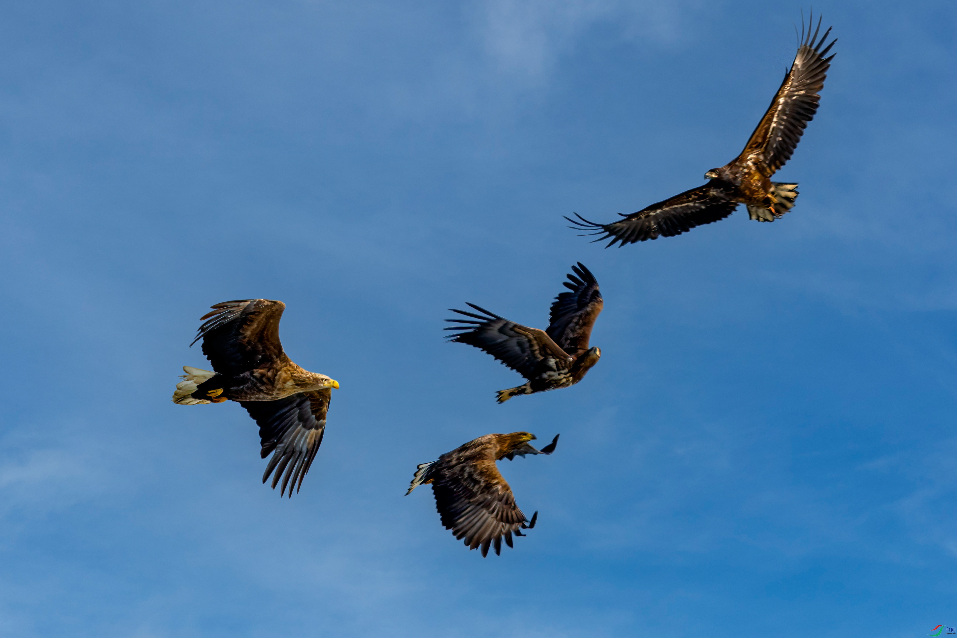 _DSC1450-1.jpg