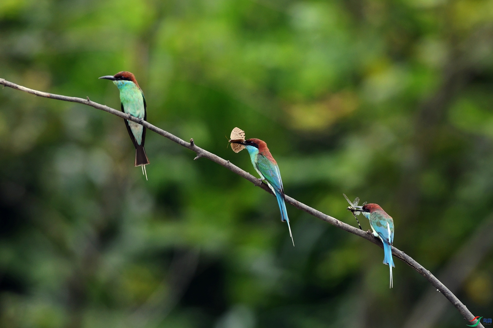 DSC_6676.jpg