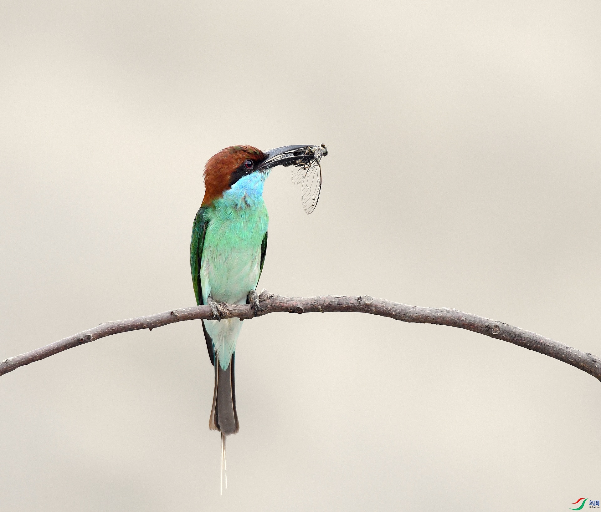 DSC_7584.jpg