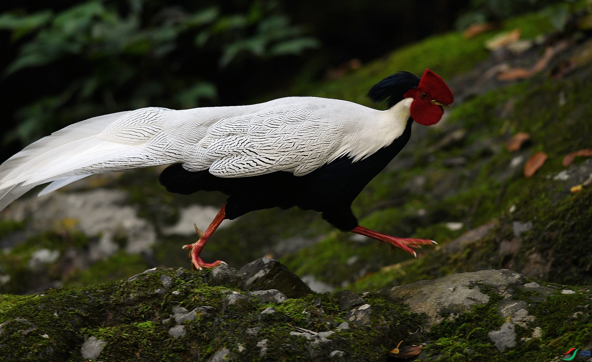 DSC_8192.jpg