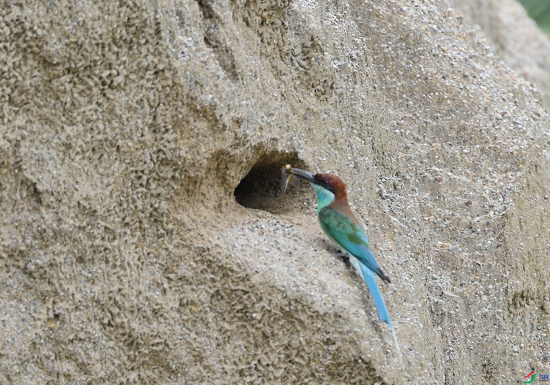 DSC_7097.jpg
